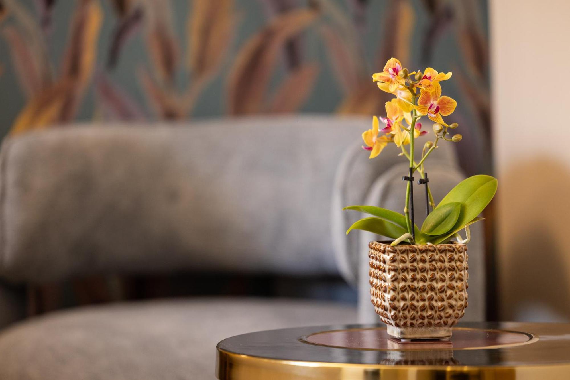 Mavi Luxury Suites Řím Exteriér fotografie